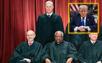 Supreme Court justices with Donald Trump inset photo for ima