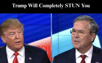 Main image related to A major nonprofit that works on public policy and was co-led by former