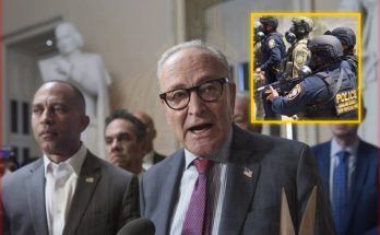 Senator Chuck Schumer speaking at press conference with poli