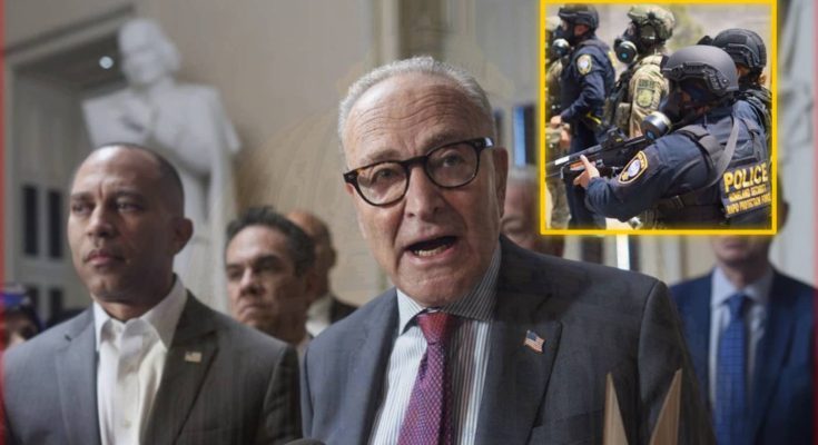 Senator Chuck Schumer speaking at press conference with poli