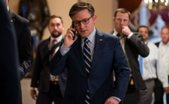 Mike Johnson speaking on Fox News