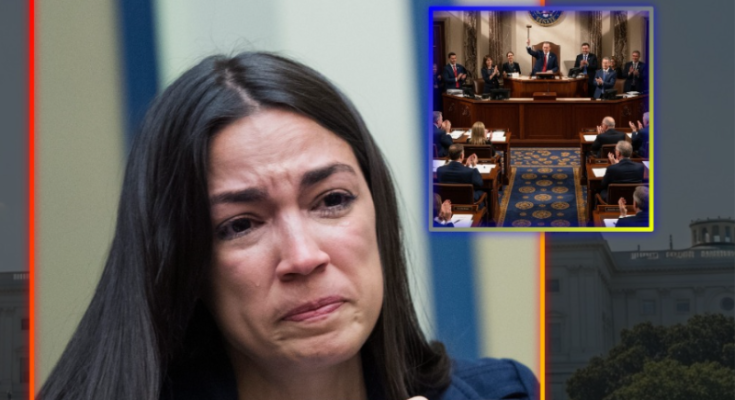 House vote on anti socialism resolution