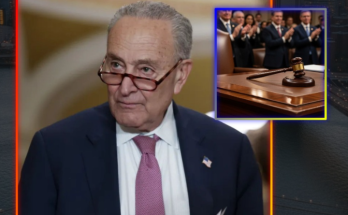 Chuck Schumer Under Fire for Shutdown Comments