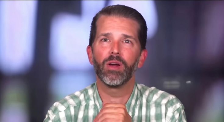 Donald Trump Jr Gains New Recognition in Politics