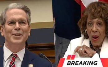 Maxine Waters arguing in House committee hearing