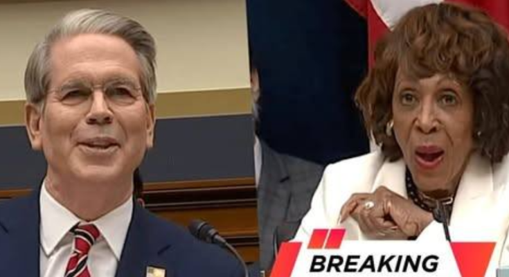 Maxine Waters arguing in House committee hearing