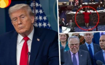 Trump federal judge confirmations