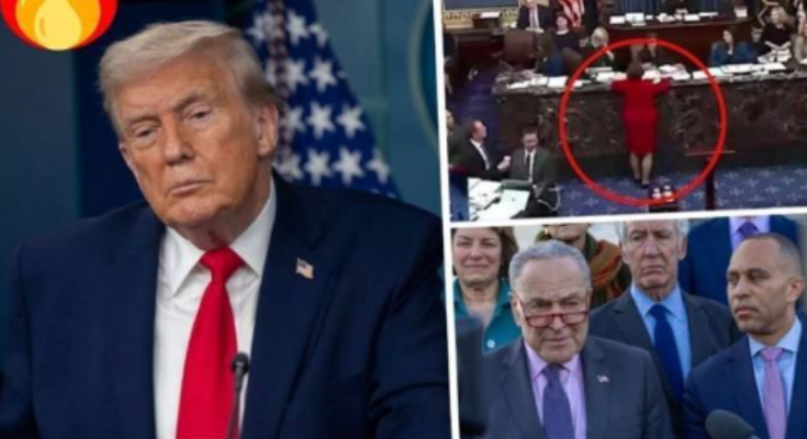 Trump federal judge confirmations