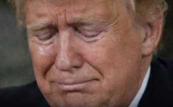 State Senator Ditches