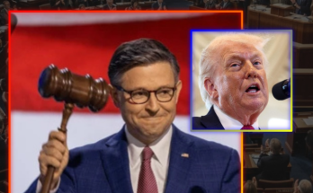 House vote on deport illegal aliens bill