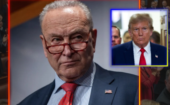 Main image related to The radical left's long-standing campaign of judicial sabotage has