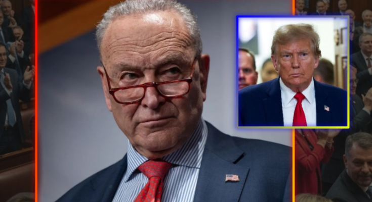 Main image related to The radical left's long-standing campaign of judicial sabotage has