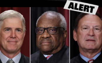 Main image related to The U.S.