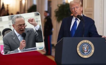 Immigration court and appeals process documents