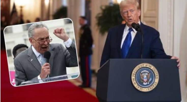 Immigration court and appeals process documents