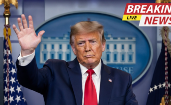 FEMA chief Cameron Hamilton dismissed