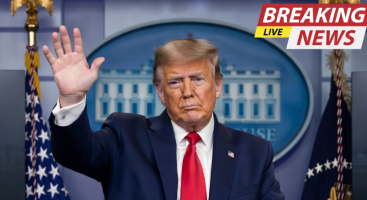 FEMA chief Cameron Hamilton dismissed