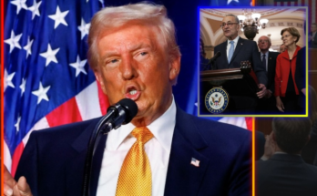 Federal agents patrolling Washington DC streets