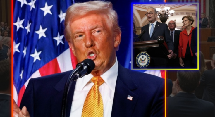 Federal agents patrolling Washington DC streets