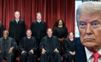 New York congressional map Supreme Court ruling, Voting Rights Act Section 2, Louisiana v. Callais, Nicole Malliotakis district, US Supreme Court redistricting, congressional map dispute, election law cases