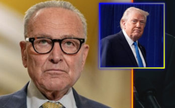 Trump Halts Senate Negotiations After Schumer Demands $1B Ransom