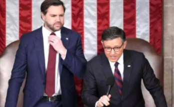 Detain and Deport Illegal Aliens Who Assault Cops Act