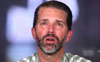 Breaking: major development involving donald trump jr discussion a new development involving donald trump jr was