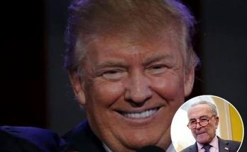 Donald Trump smiling and pointing while holding a microphone, with a circular inset