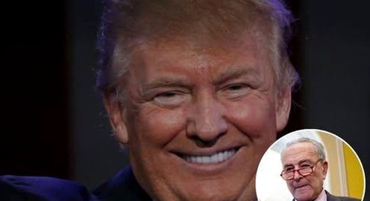 Donald Trump smiling and pointing while holding a microphone, with a circular inset