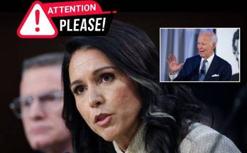 Tulsi Gabbard speaking at a microphone with Joe Biden shown in a small inset image, with