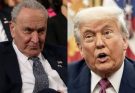 Split image showing Chuck Schumer on the left and Donald Trump on the right, with text