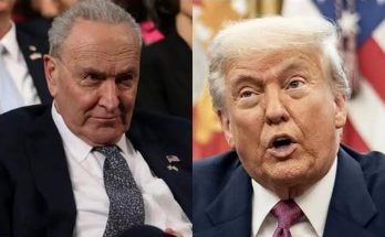 Split image showing Chuck Schumer on the left and Donald Trump on the right, with text