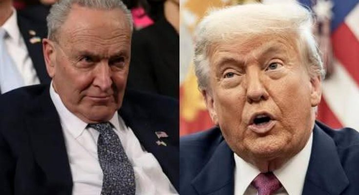 Split image showing Chuck Schumer on the left and Donald Trump on the right, with text