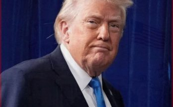 Man with blond hair wearing a dark suit and blue tie, standing in front of a blue curtain