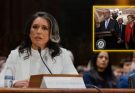 Tulsi Gabbard seated at a hearing table with a microphone, nameplate reading 'TULSI
