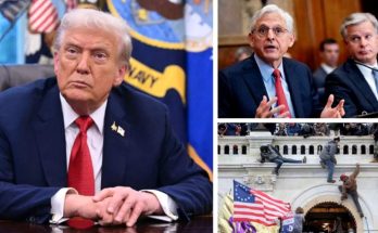 A composite image showing Donald Trump seated at a desk, two men speaking at a hearing