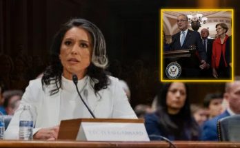 Tulsi Gabbard seated at a hearing table with a microphone, nameplate reading 'TULSI