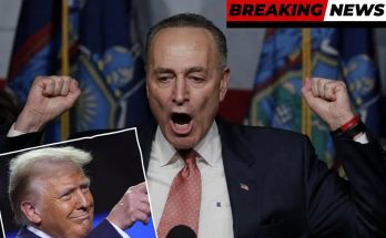 Chuck Schumer speaking with raised fists at a podium, with an inset image of Donald