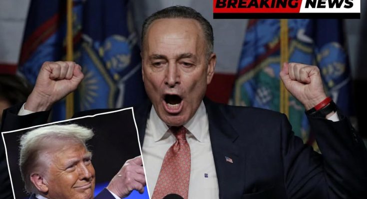 Chuck Schumer speaking with raised fists at a podium, with an inset image of Donald
