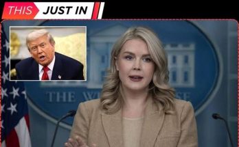 A woman with blonde hair wearing a tan blazer speaks at a White House podium with