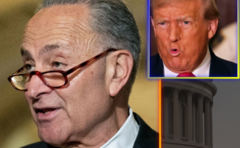 Senate Republicans Push Through Over 100 Trump Nominees in Historic Vote