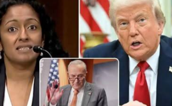 Trump court ruling: Democrats go insane over what he can now do