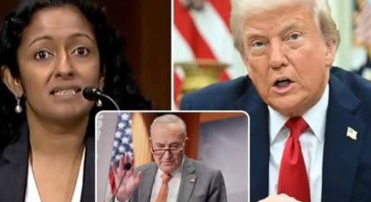Trump court ruling: Democrats go insane over what he can now do
