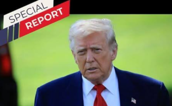 spiral staircase wooden interior design