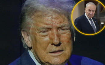 Trump's new acting AG puts Democrats on notice