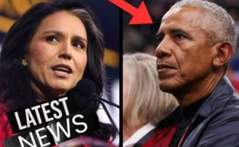 Tulsi Gabbard Doubles Down on Obama Secret