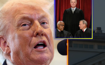 "Trump emergency news please listen judges"