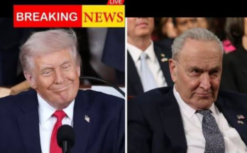 Trump genius move blindsides Chuck Schumer