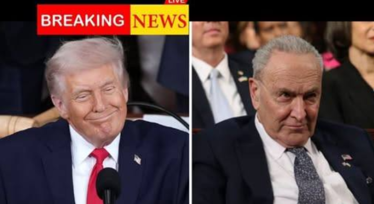 Trump genius move blindsides Chuck Schumer