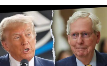 Trump vs Mitch McConnell RINO plot stopped